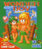 Wonder Boy - GameGear (Japan) | SEGA1UP
